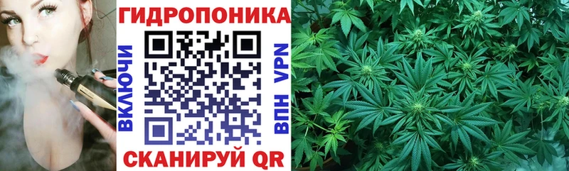 площадка наркотические препараты  что такое   Воткинск  Бошки марихуана семена 